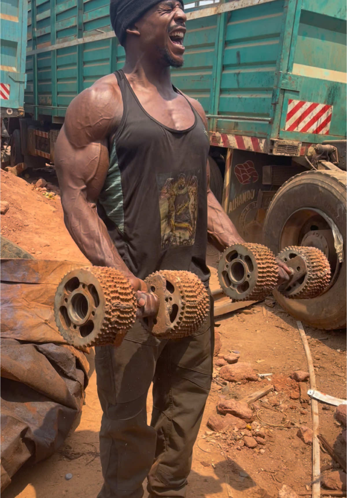 mecânico forte de camarões